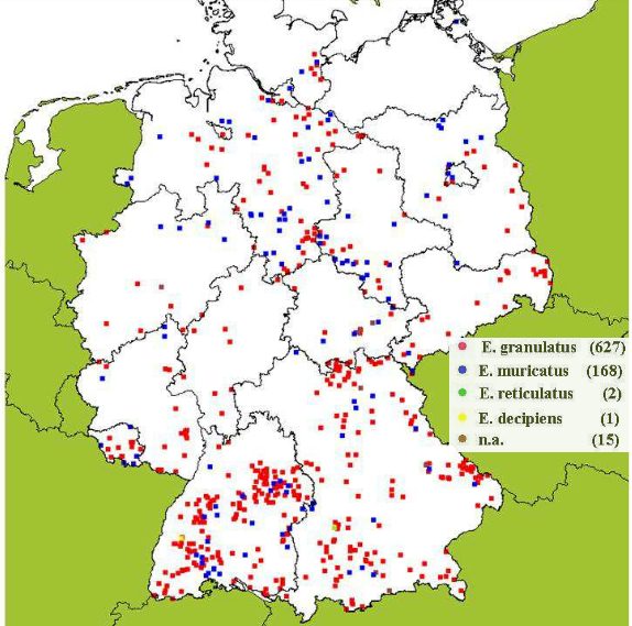 Deer Truffle occurrence and distributiuon in Germany