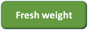 Fresh weight definition and explanation in science