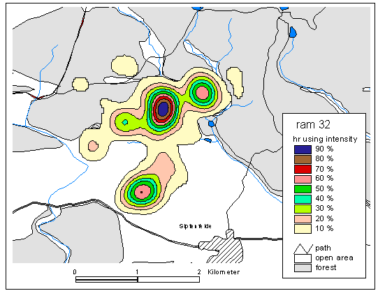 Habitat use of Ovis ammon musimon estimated by telemetry data and via Kernel method