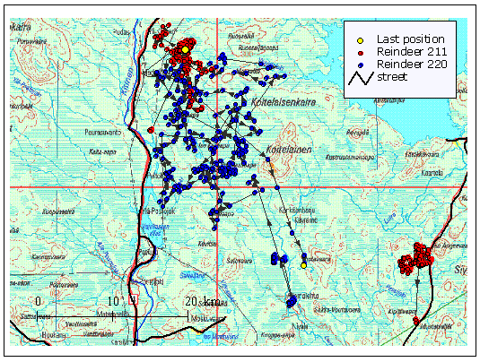 GPS fix positions shows the home range utilization of reindeer in Finland