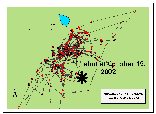  Detail map of the wolf positions until he has been shot in 2002